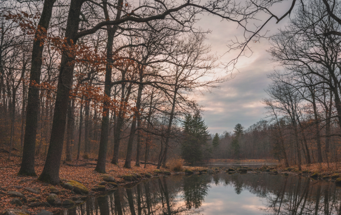 Why Markets Obsess Over Macro — And What We’re Missing